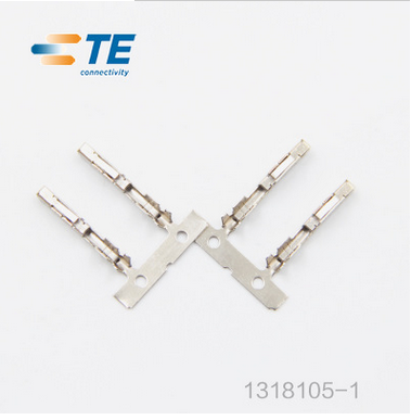 1318105-1